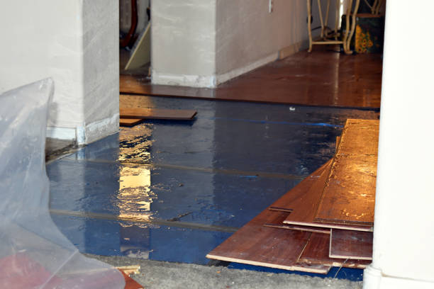 Professional Water Damage Restoration technician working in Centerville, IA